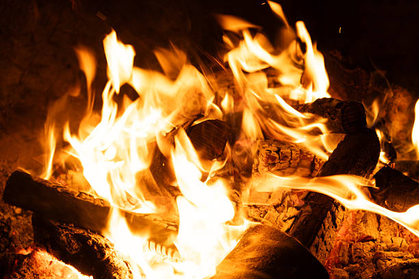 Horizontal Background of Firewood Heating up with Bright Flames