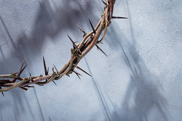 istock Crown of thorns casting a distinct shadow a white background, creating a symbolic easter image of suffering, sacrifice, and remembrance Copy good friday for text space 2252681363