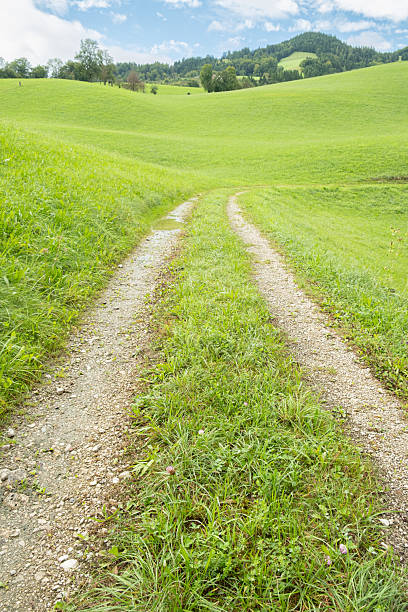 istock Sunny Mountain Valley Path Surrounded by Green Meadows on a Peaceful Summer Day 2252682763