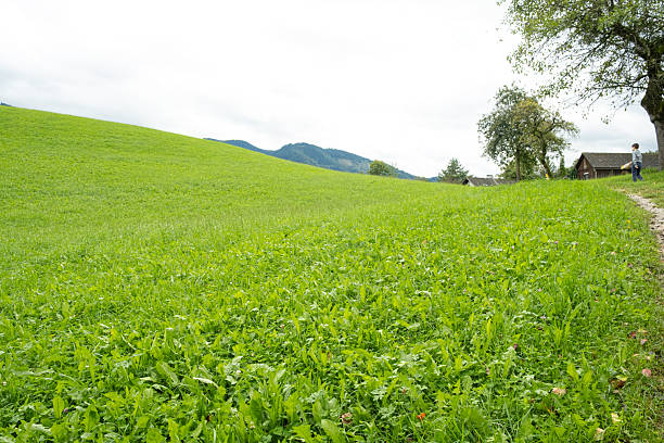Typical Austrian landscape, green meadow, countryside and village.