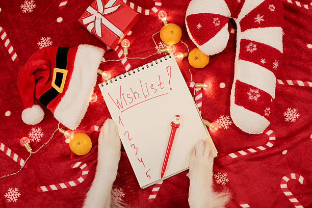 istock A Christmas themed flatlay shows an Australian Shepherds paws holding a notebook with a wishlist surrounded by gifts and festive decor. Scene represents holiday planning and cheerful seasonal mood. 2252683546