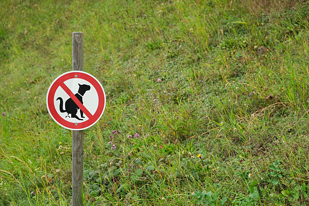 istock Sign prohibiting dog walking in the park, space for text. 2252686257