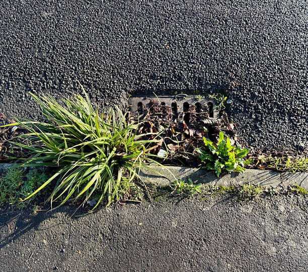flat stone and grass