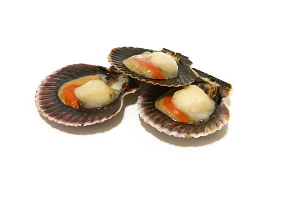 istock Group of fresh raw scallops with coral inside shells, isolated on white background 2252692100