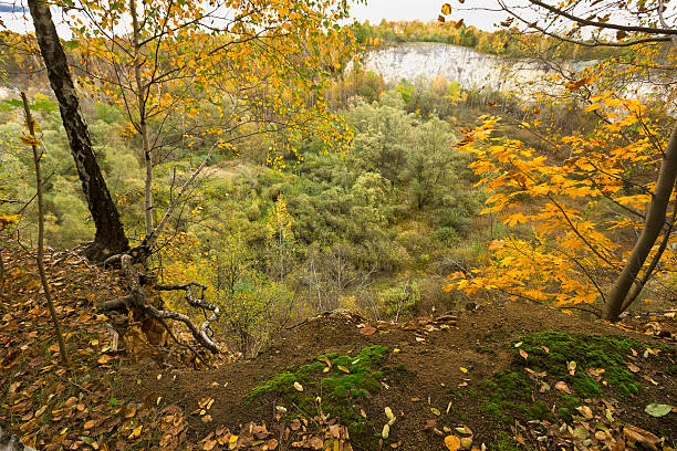 Autumn Landscape. Forest on the edge of a rocky cliff. Yellow autumn trees.