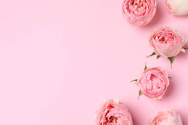 istock Beautiful composition with pink roses on color background 2252696510