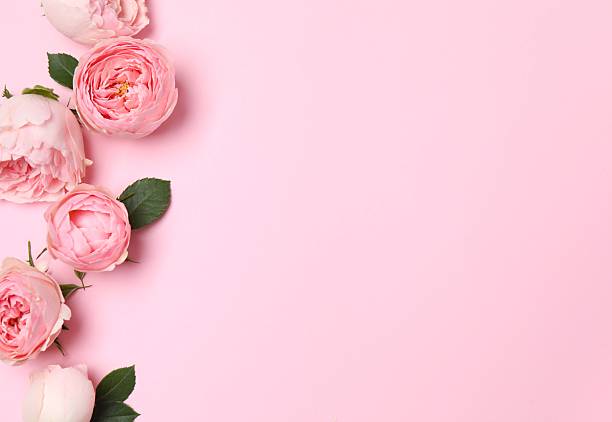 istock Beautiful composition with pink roses on color background 2252696569