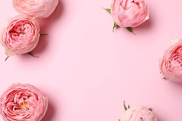 istock Beautiful composition with pink roses on color background 2252696767