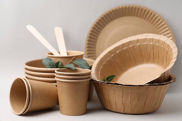 istock Set of disposable tableware and green leaves on light grey background, closeup 2252698010