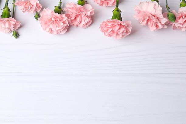 istock Beautiful bouquet of pink carnations on a white background 2252698018