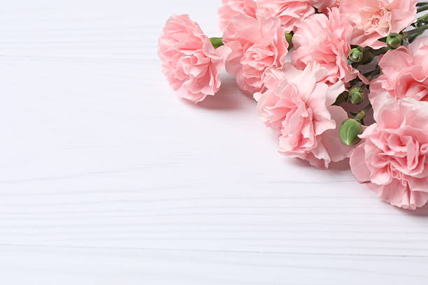 Beautiful bouquet of pink carnations on a white background