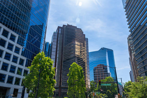 Sunlight illuminates the modern skyscrapers of vancouver's financial district, creating a vibrant urban scene with lush green trees adding a touch of nature to the cityscape