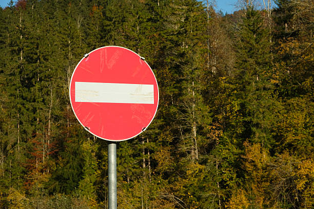 Do Not Enter Road Sign Against a Natural Forest Background, No Entry.