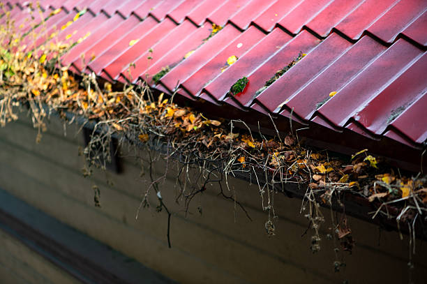 istock Autumn Leaves Collected in Roof Gutter in Latvia 2252700962