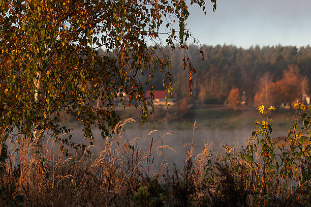 Autumn view on misty river at the sunrise