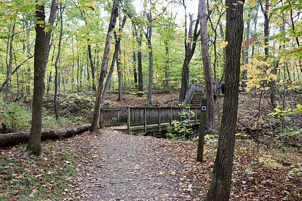 istock Wood Bridge in the Woods 2252709606