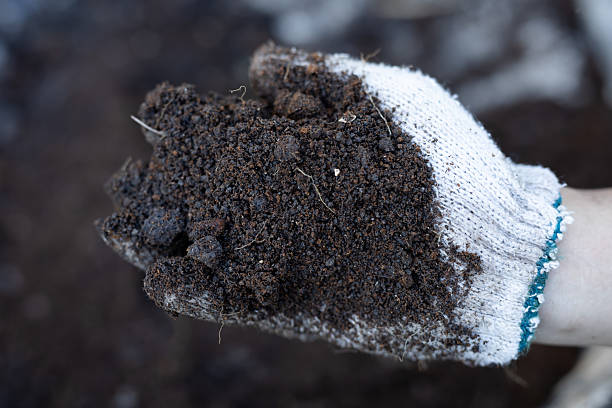 istock Hand in protective glove holding organic worm compost for soil restoration 2252711609