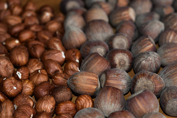 A close-up view of fresh shelled hazelnuts and hazelnuts in their shells, scattered on a surface. Healthy organic snack. Healthy food and healthy nutrition concept.