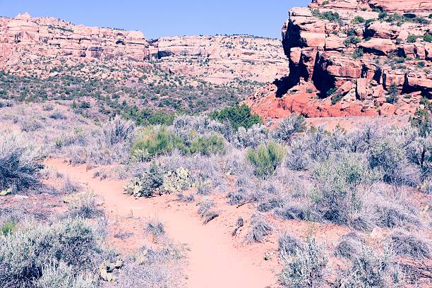 United States nature - Colorado National Monument. Hiking trail path.
