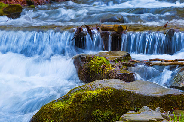 Beauty in nature - dreamy river in deep forest