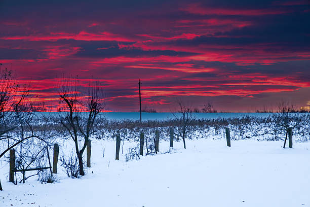 Free picture: Winter sunset. a snow covered field with trees in the ...