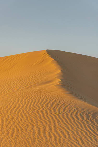 A vast sand dune glows with warm golden light at sunset. The crest forms a sharp ridge, with wind-carved ripples spreading across the slope. Calm, expansive desert scene evokes solitude, travel, and nature's timeless beauty. Perfect for themes of exploration, adaptation, and outdoor adventure.