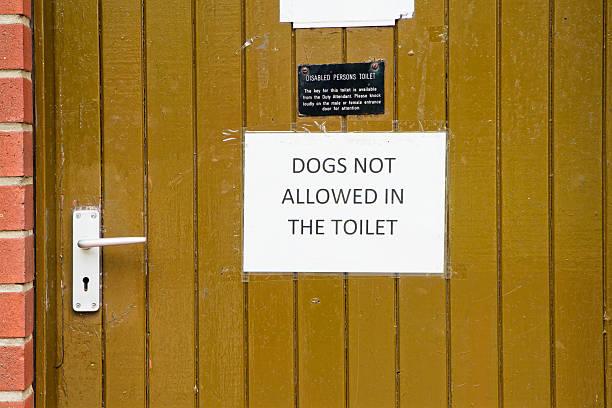 istock Dogs not allowed in toilet sign 2252726605