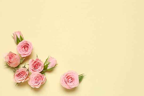 istock Beautiful composition with pink peony roses on color background 2252728171