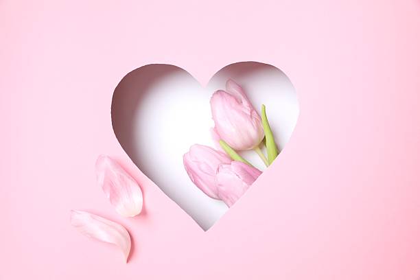 istock Heart with fresh tulips on pastel pink background 2252731338