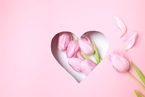 istock Heart with fresh tulips on pastel pink background 2252731349