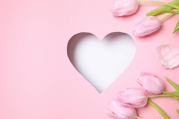 istock Heart surrounded with fresh tulips on pastel pink background 2252731355