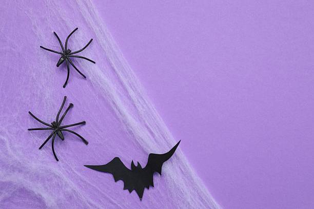 istock Halloween holiday decorations including cobweb, bat and spiders on purple background, top view 2252732512