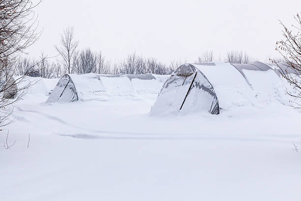 istock greenhouse, snow, snowfall, cold, cultivation, white, winter, January, trees, 2252733357