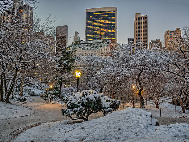 istock Central Park in winter after snow storm 2252734117