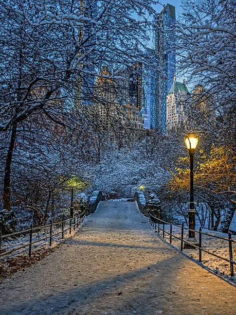 istock Gapstow Bridge in Central Park, after snow storm 2252734174