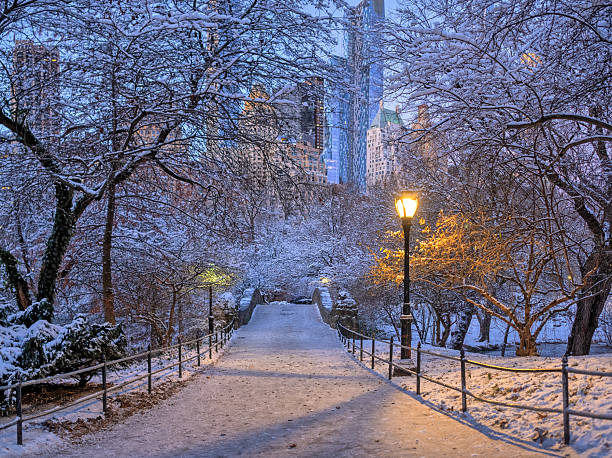 istock Gapstow Bridge in Central Park, after snow storm 2252734199