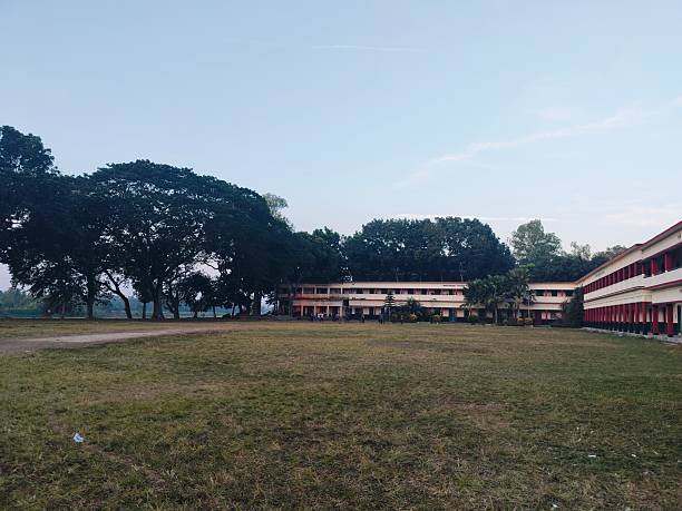 istock Open field rural landscape daytime photography 2252736901