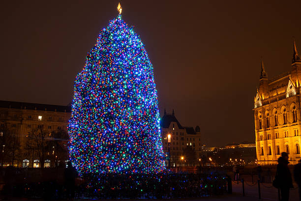 Christmas Tree At Hungarian Parliament Night