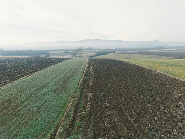 Green fields and blue sky in spring and early summer