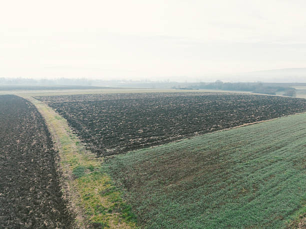 Agricultural fields in winter morning