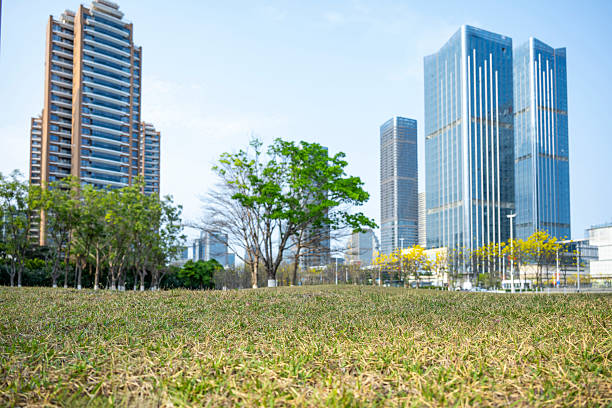 A serene urban park scene featuring modern skyscrapers, lush greenery, and a clear blue sky. The image captures the harmony between nature and architecture, offering a peaceful cityscape view. It's suitable for real estate promotions, architectural showcases, or travel advertisements.