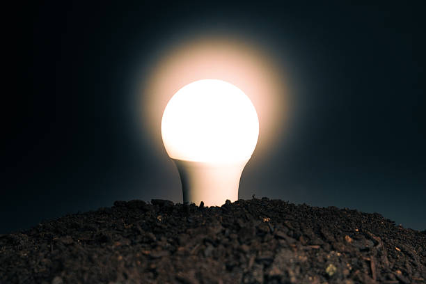 Light bulb shining brightly, emerging from dark soil, symbolizing sustainable growth, innovation, and environmental ideas