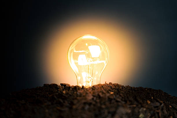 Bright light bulb glowing from dark soil against a dark background, representing new ideas, sustainable energy, and growth