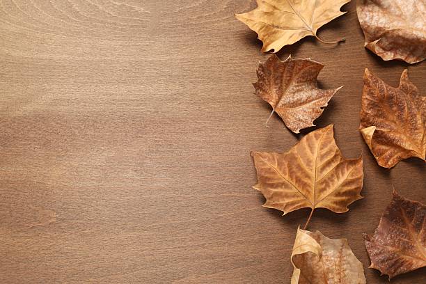 a fall of fallen leaves.