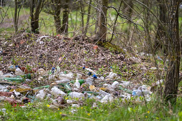 istock Forest with scattered litter and plastic waste. Harmful effects of pollution on natural landscapes. 2252759686