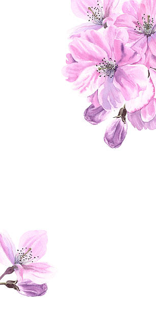 istock Sakura watercolor pink Cherry blossom card vertical 2252765395
