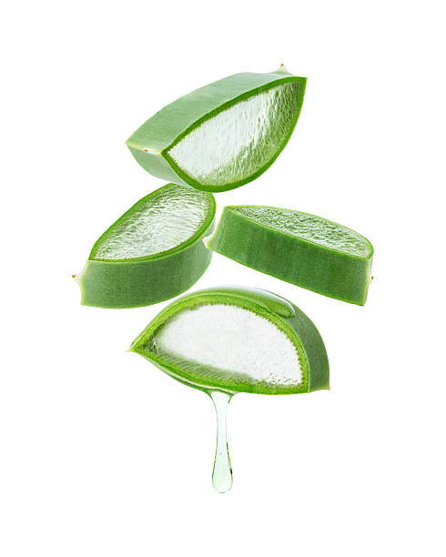 istock Aloe pieces isolated on white background 2252767191