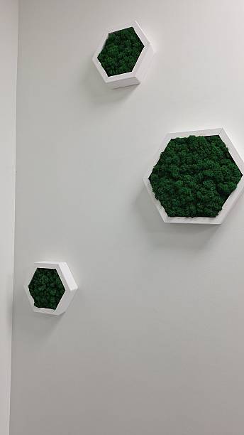 istock Hexagonal wall art with green moss on white background 2252768447