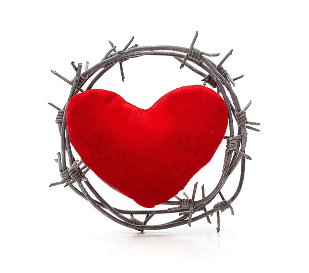 istock Red heart inside a circle of barbed wire on white background. 2252769475