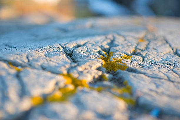 Cracked stone with small yellow lichen patches